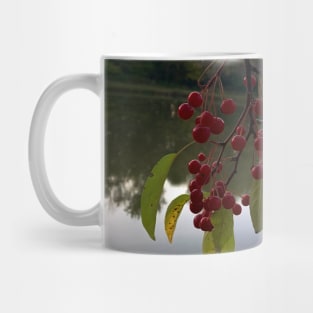 Red Berries Against a Peaceful Pond - Tomahawk Creek Pond Overland Park KS Mug